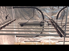 800w led grow lights for indoor plants