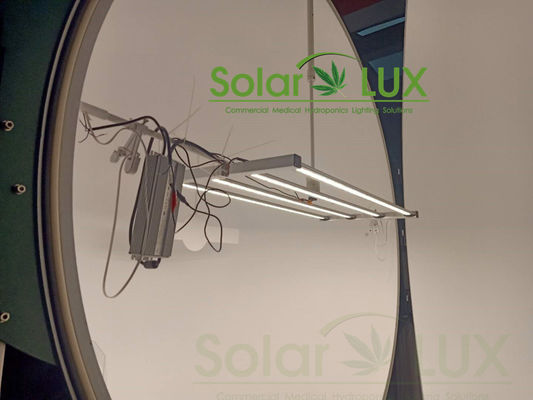 Osram 660nm Fluence 320W Horticulture LED Grow Lights