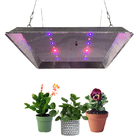FCC Knob Dimming IP65 Horticulture LED Grow Lights For Greenhouse