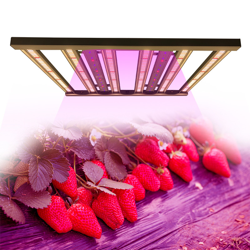 Detachable Knob Dimming 480w Horticulture LED Grow Lights