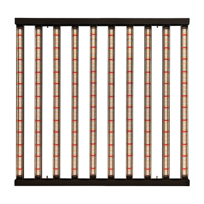 οι οδηγήσεις δενδροκηποκομίας 1200W 10Bars Samsung LM301H αυξάνονται την ελαφριά εσωτερική ανάπτυξη